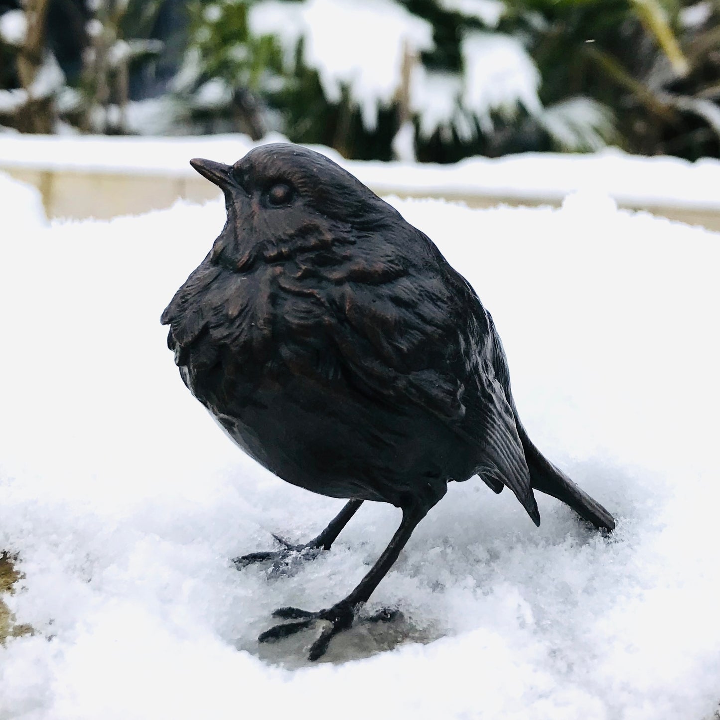LIMITED EDITION Bronze Sculpture - Robin