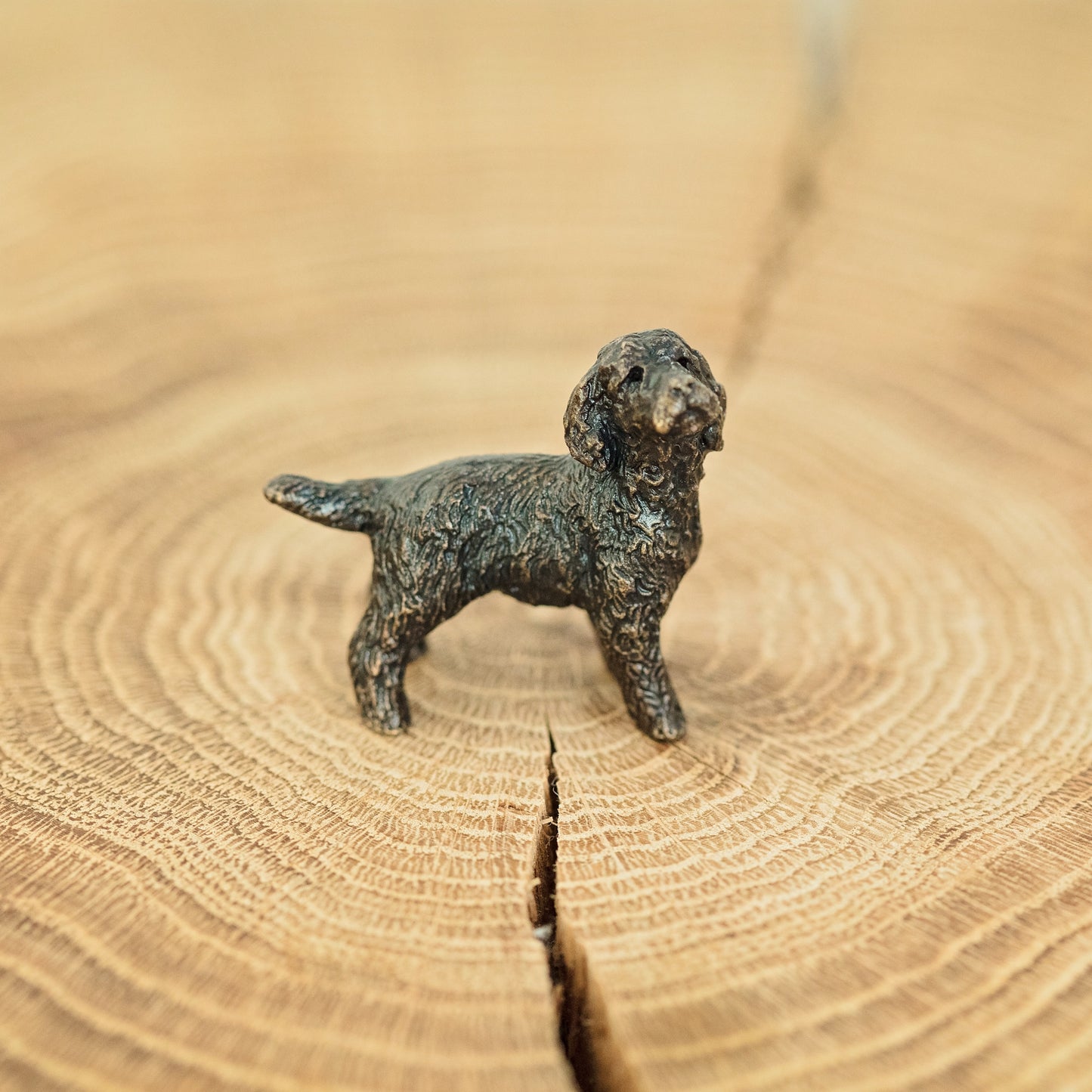 Miniature Bronze Sculpture - Cockapoo