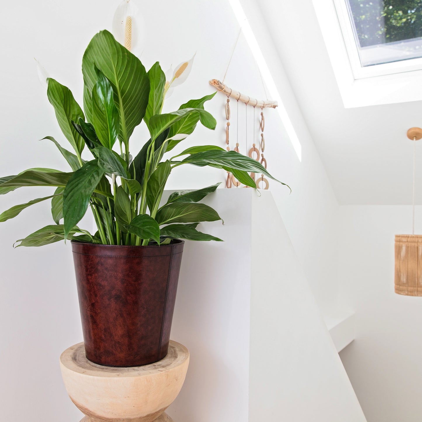 Leather Plant Pot - Brown