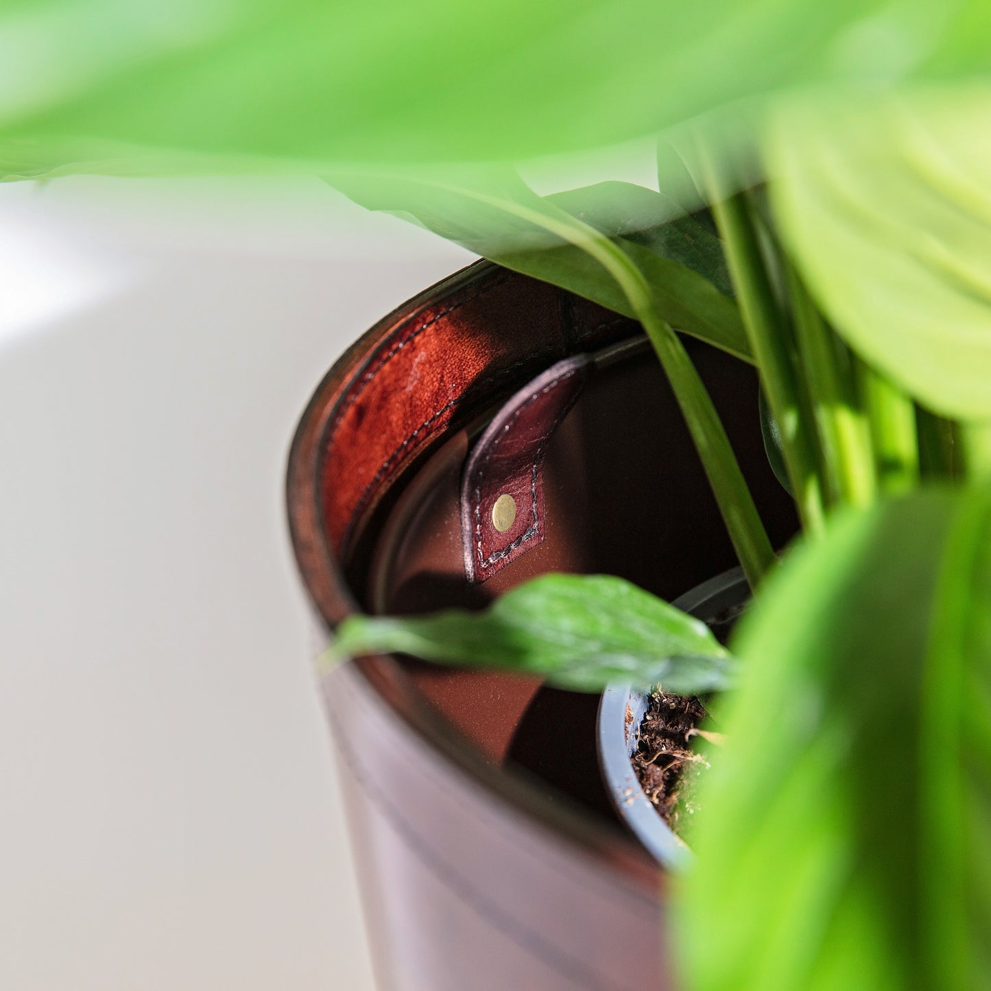 Leather Plant Pot - Brown