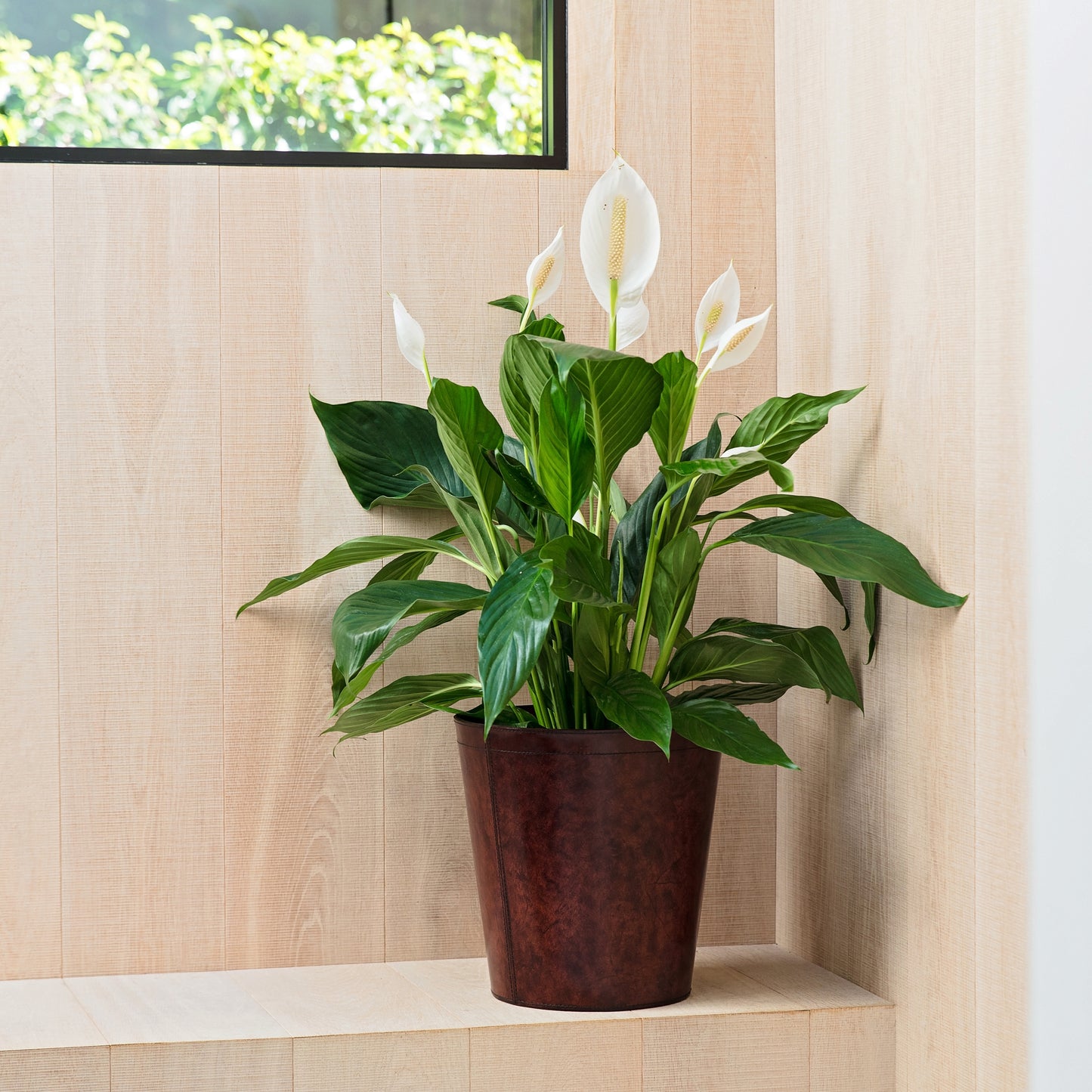 Leather Plant Pot - Brown