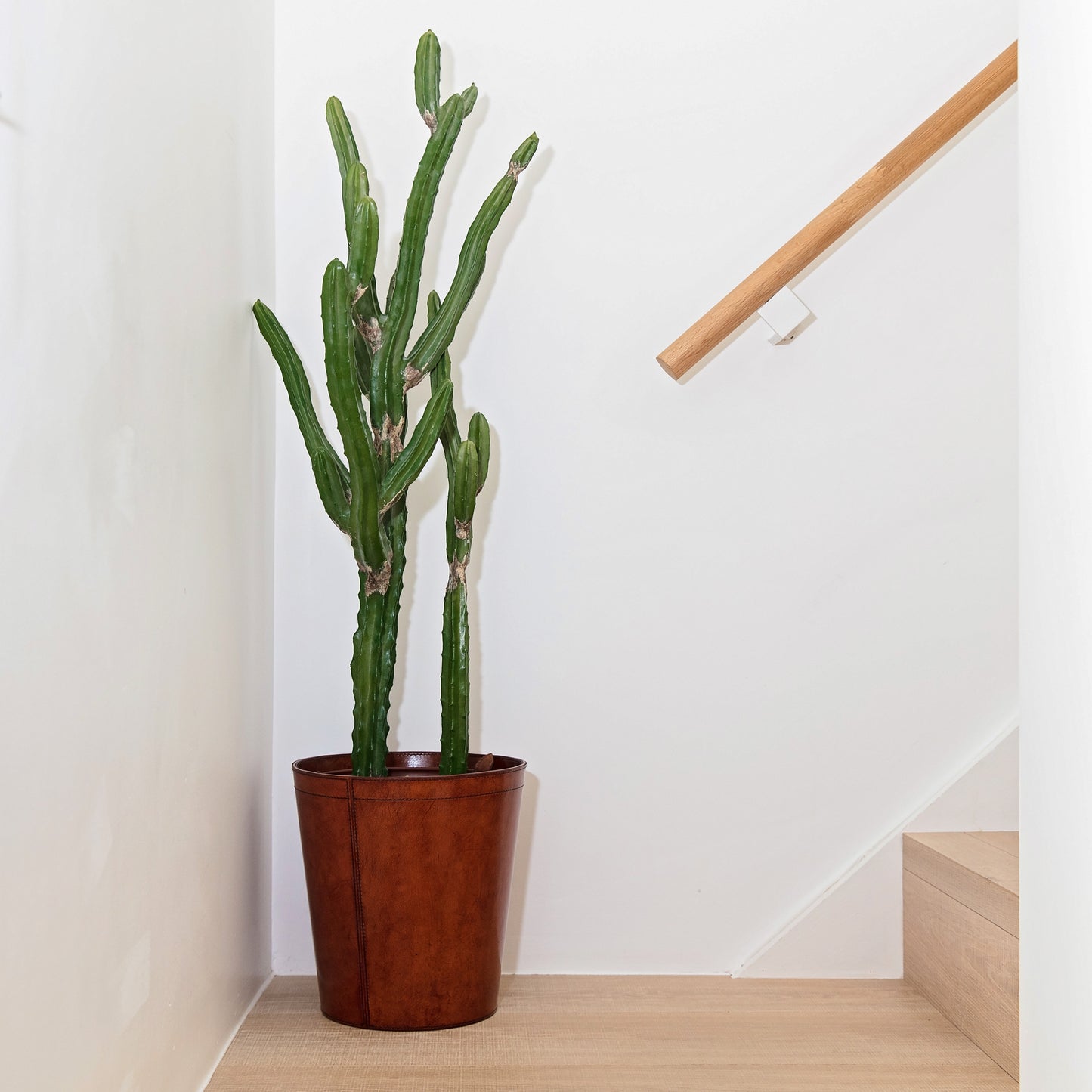 Leather Plant Pot - Tan