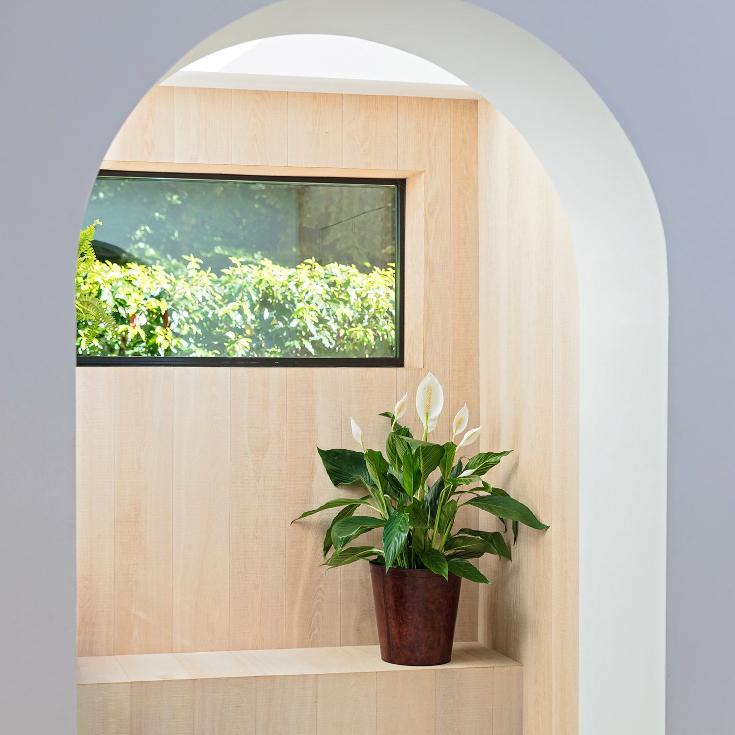 Leather Plant Pot - Brown