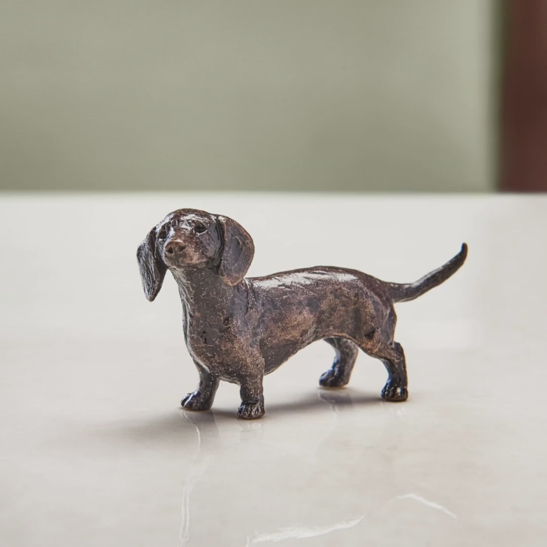 Load and play video in Gallery viewer, Miniature bronze figurine of a dachshund. A thoughtful bronze anniversary gift or birthday gift for dog lovers.