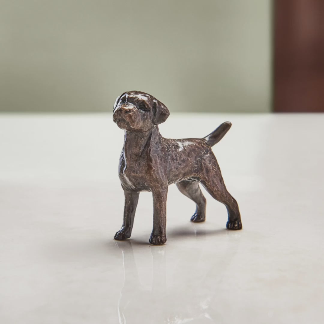 Load and play video in Gallery viewer, Miniature bronze figurine of a border terrier. A thoughtful bronze anniversary gift or birthday gift for dog lovers