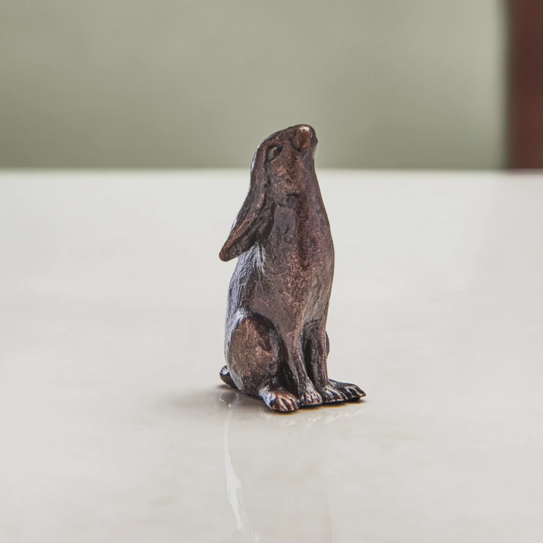 Load and play video in Gallery viewer, Miniature bronze figurine of a moon gazing hare. Give as a bronze anniversary gift or thoughtful Christening gift.