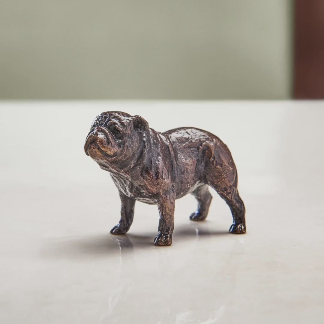 Load and play video in Gallery viewer, Miniature bronze figurine of a British bulldog. A thoughtful bronze anniversary gift or birthday gift for dog lovers.