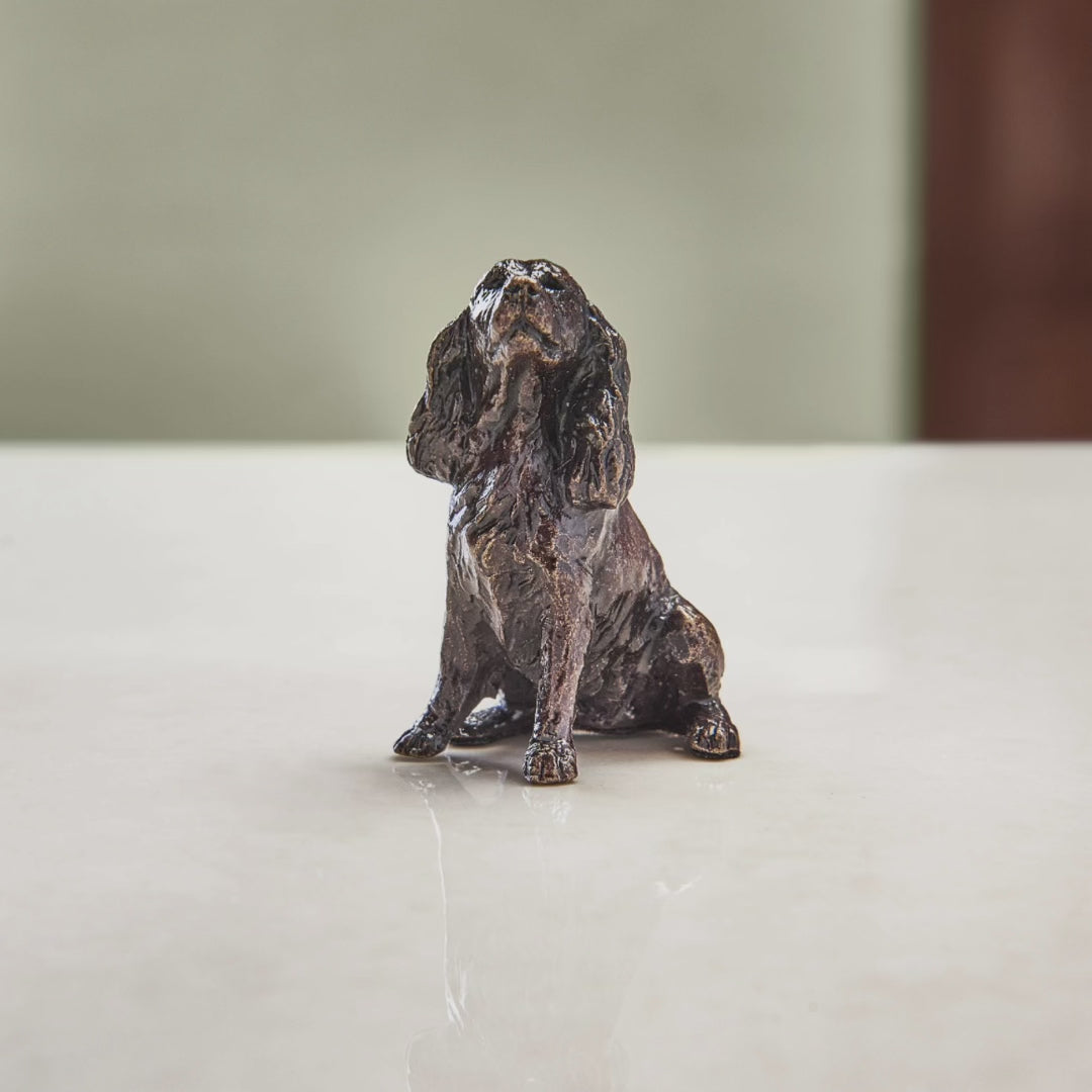 Load and play video in Gallery viewer, Miniature Bronze Sculpture - Spaniel