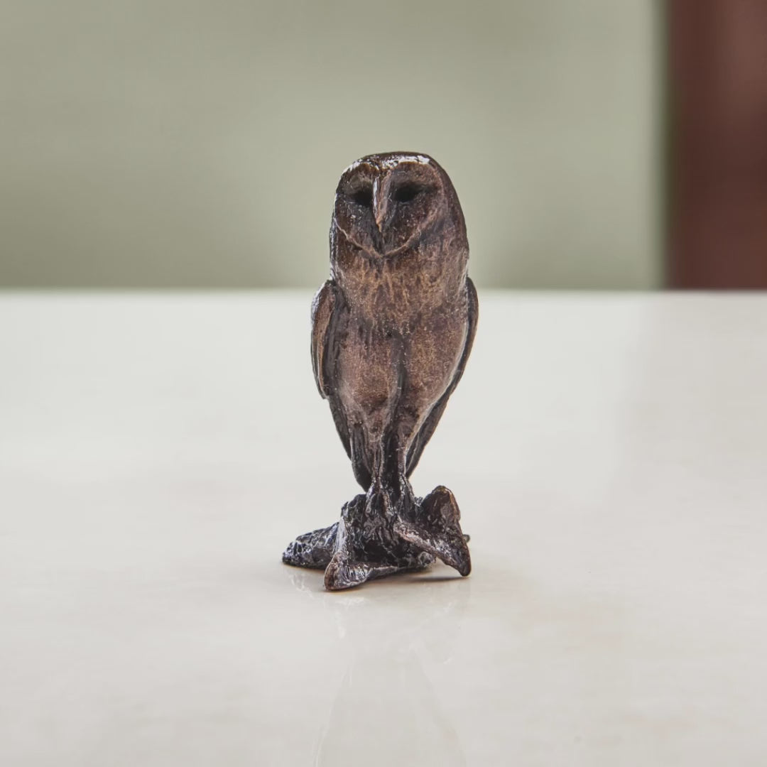 Load and play video in Gallery viewer, Miniature bronze figurine of a wide-eyed barn owl. A perfect bronze anniversary gift.