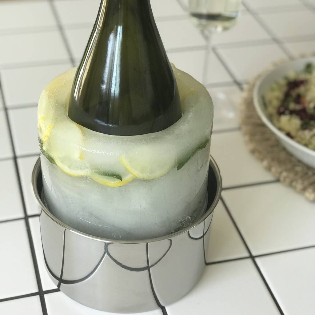 Stainless Steel Ice Bottle Chiller