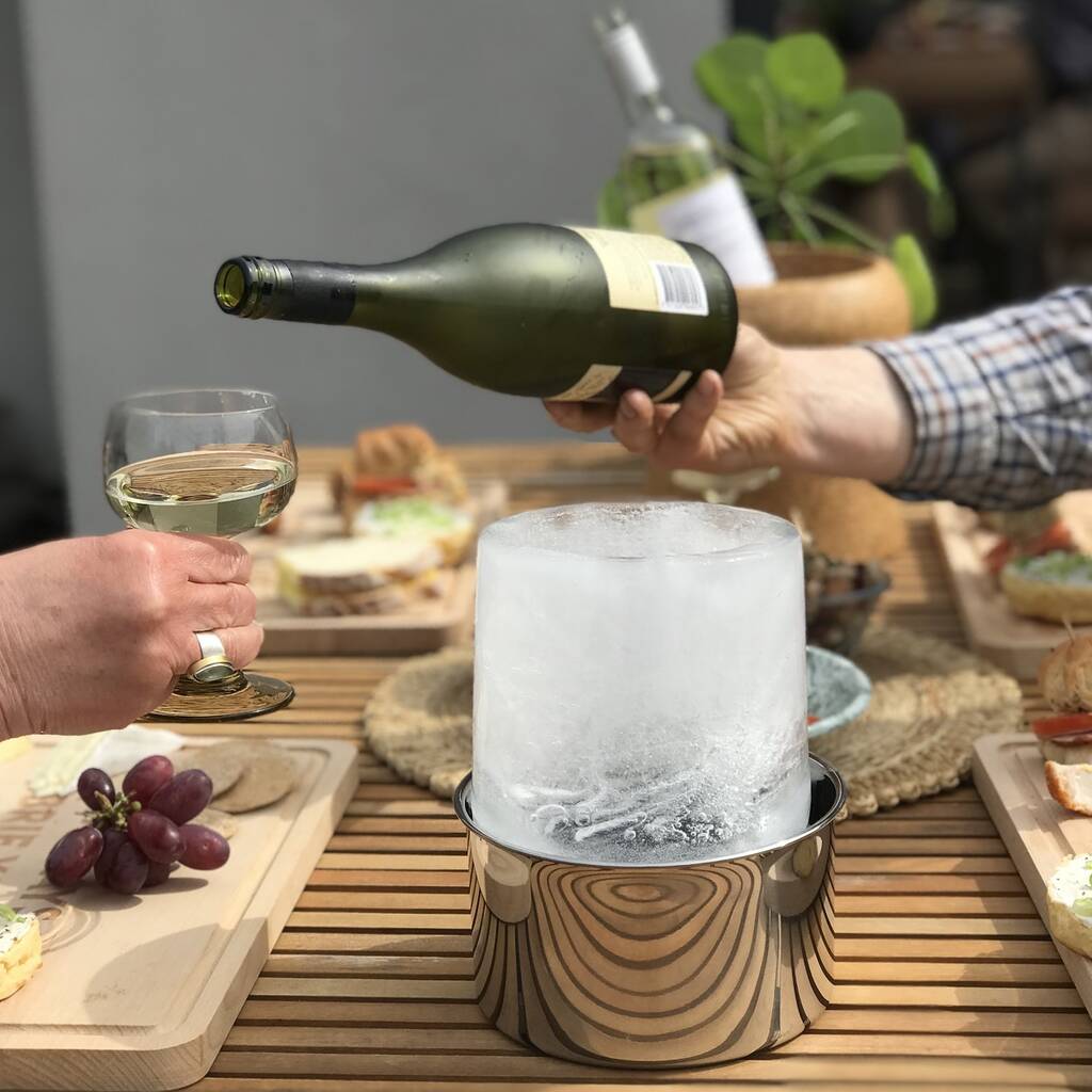 Stainless Steel Ice Bottle Chiller