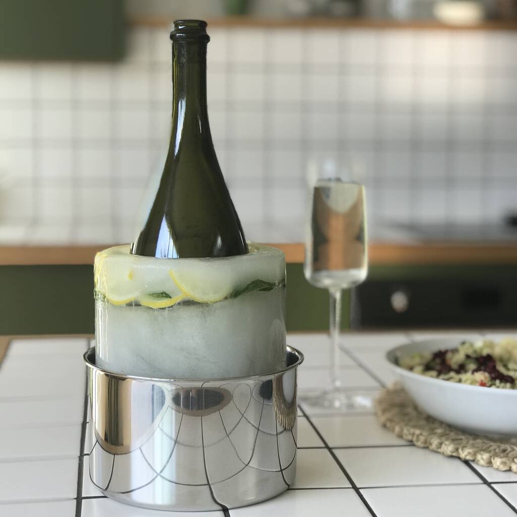 Stainless Steel Ice Bottle Chiller