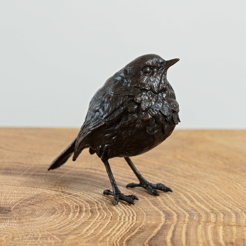 A solid bronze robin statue that makes a thoughtful sympathy gift or festive Christmas gift. 