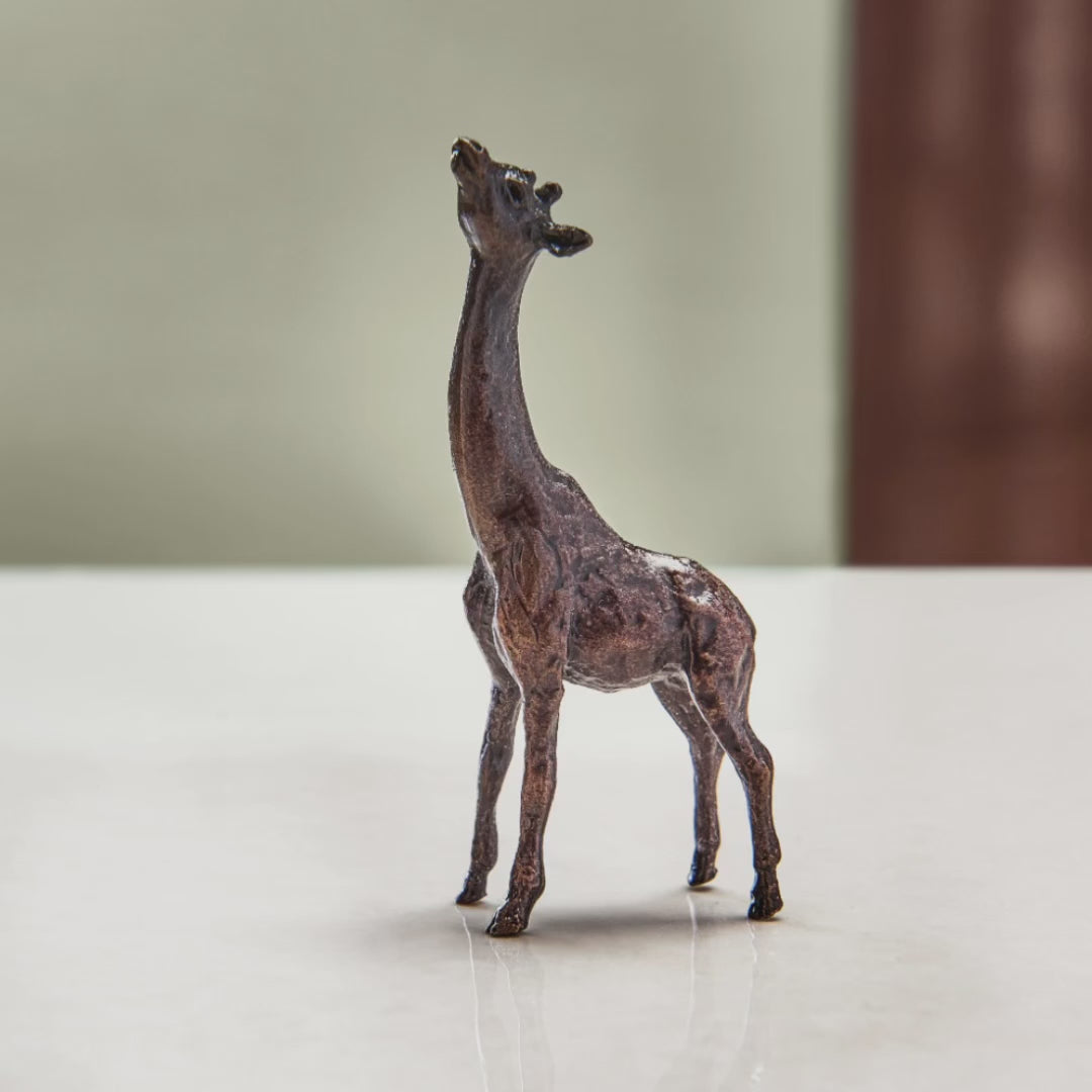 
                  
                    Load and play video in Gallery viewer, Miniature bronze figurine of a giraffe. Give as a bronze anniversary gift or thoughtful birthday gift.
                  
                