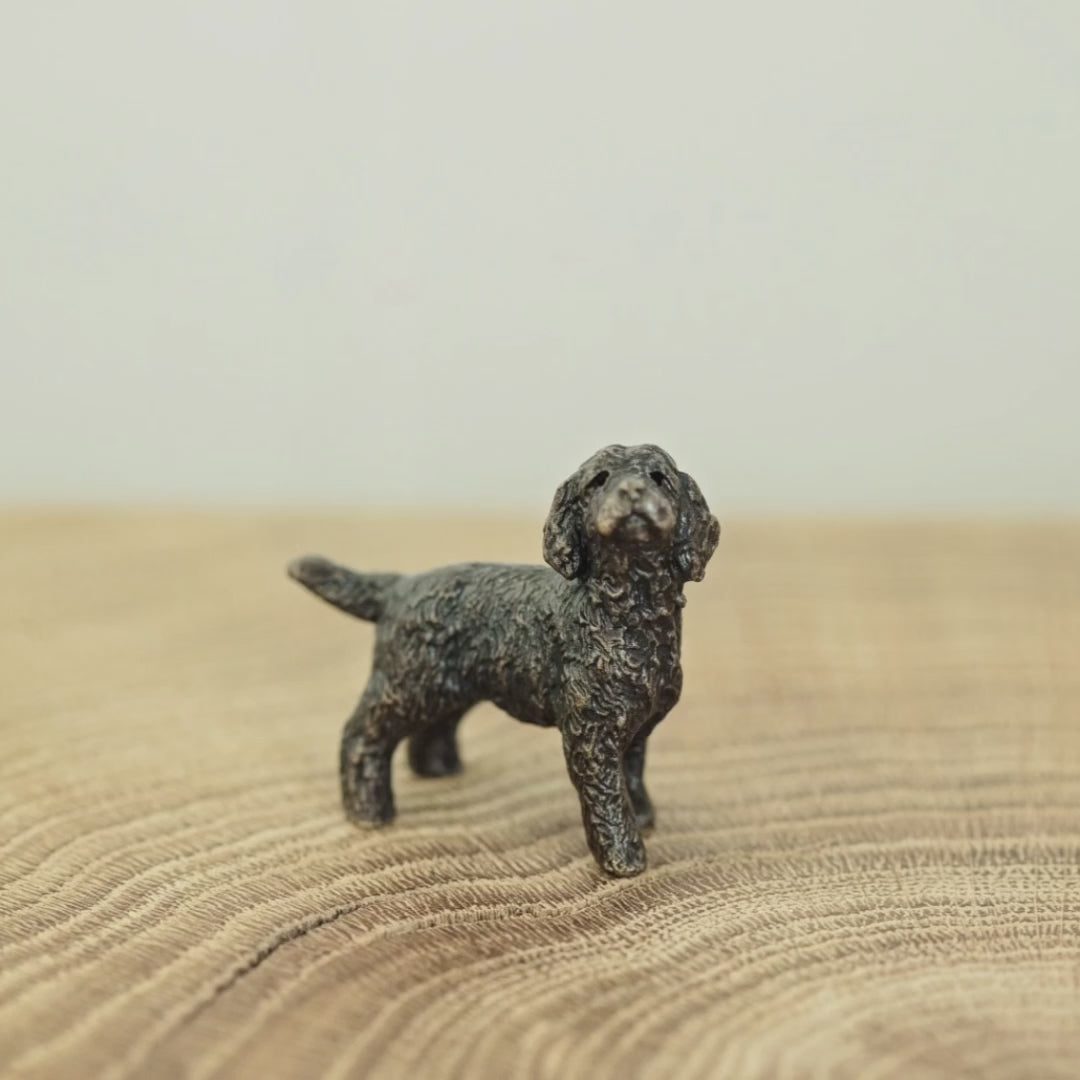 
                  
                    Load and play video in Gallery viewer, Miniature bronze figurine of a cockapoo. A thoughtful bronze anniversary gift or birthday gift for dog lovers.
                  
                
