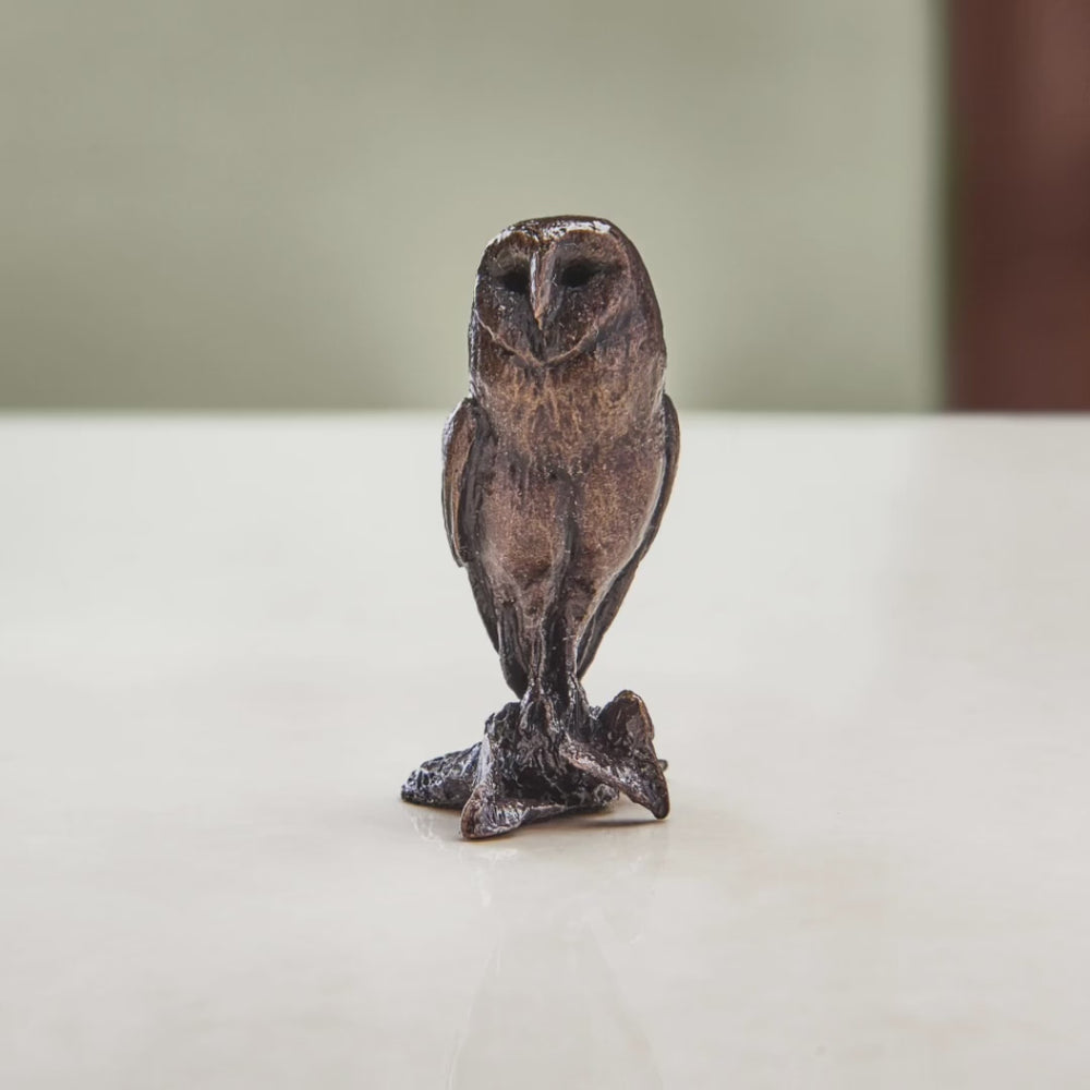
                  
                    Load and play video in Gallery viewer, Miniature bronze figurine of a wide-eyed barn owl. A perfect bronze anniversary gift.
                  
                